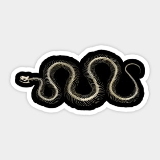 Snake Skeleton Sticker